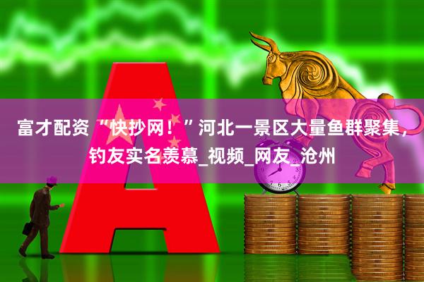 富才配资 “快抄网！”河北一景区大量鱼群聚集，钓友实名羡慕_视频_网友_沧州