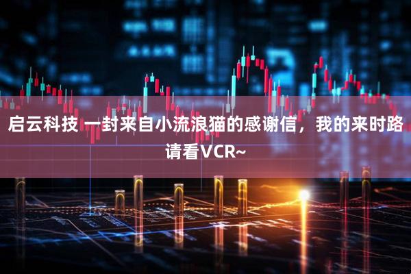 启云科技 一封来自小流浪猫的感谢信，我的来时路请看VCR~