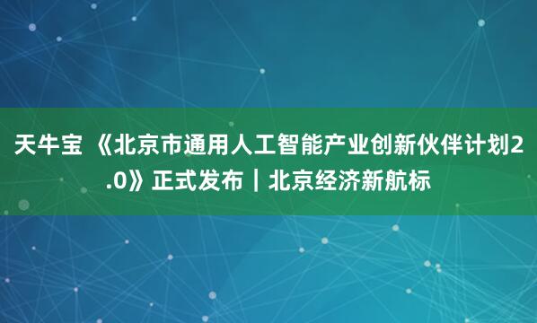 天牛宝 《北京市通用人工智能产业创新伙伴计划2.0》正式发布｜北京经济新航标